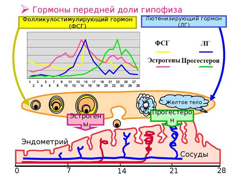 Последствия недостатка этого гормона в процессе родов