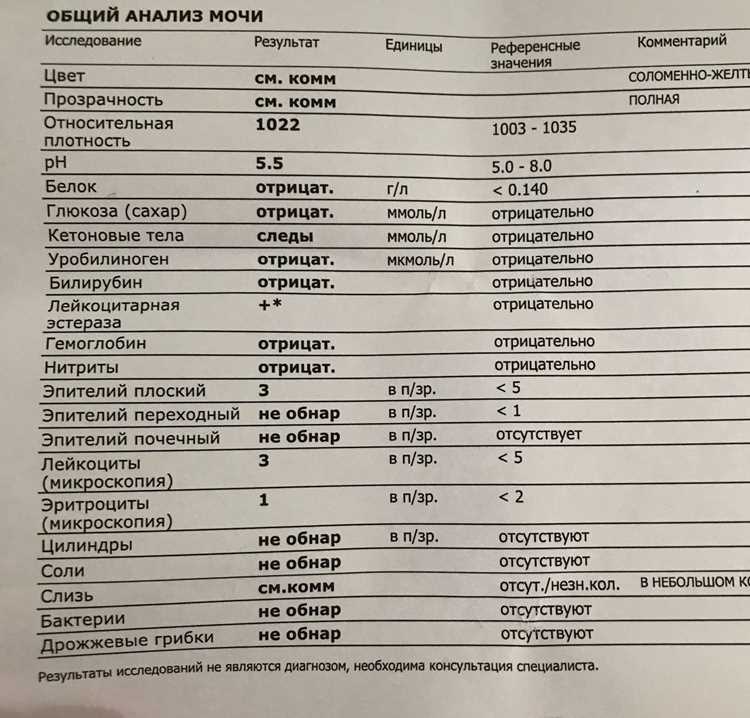 Методы диагностики и исследования жидкости организма у женщин в положении