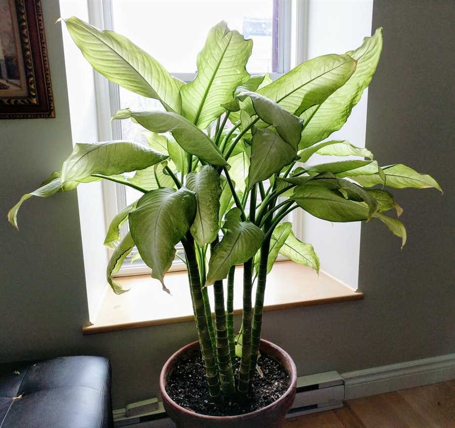 1.