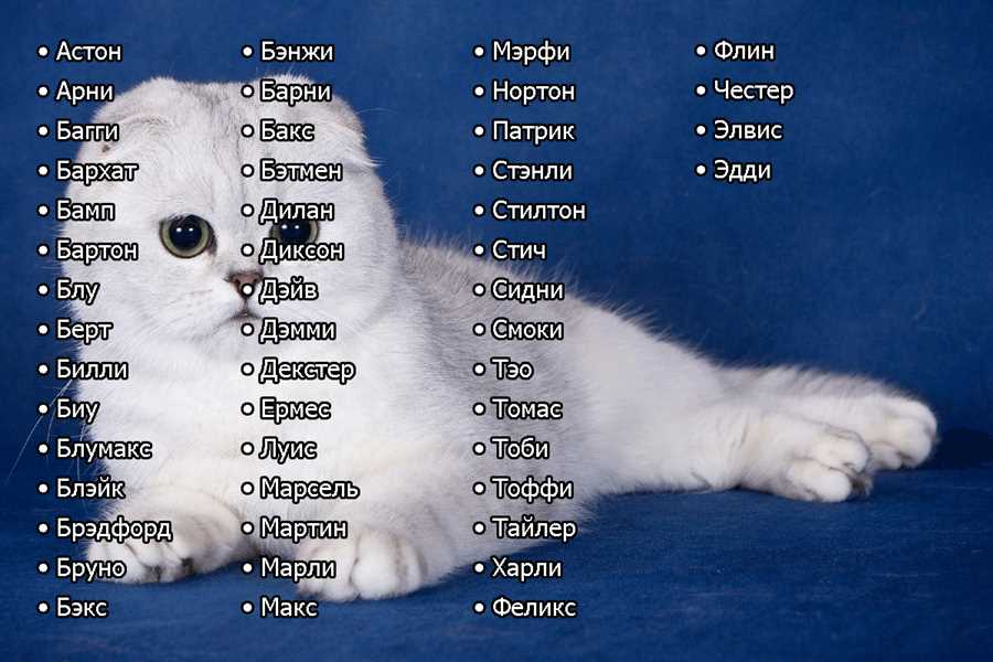 Интересные