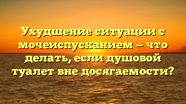Ухудшение ситуации с мочеиспусканием — что делать, если душовой туалет вне досягаемости?